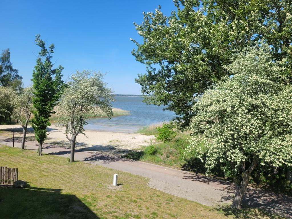 Baltic Lagoon Resort Direkt Am Meer Fuhlendorf  Exterior photo